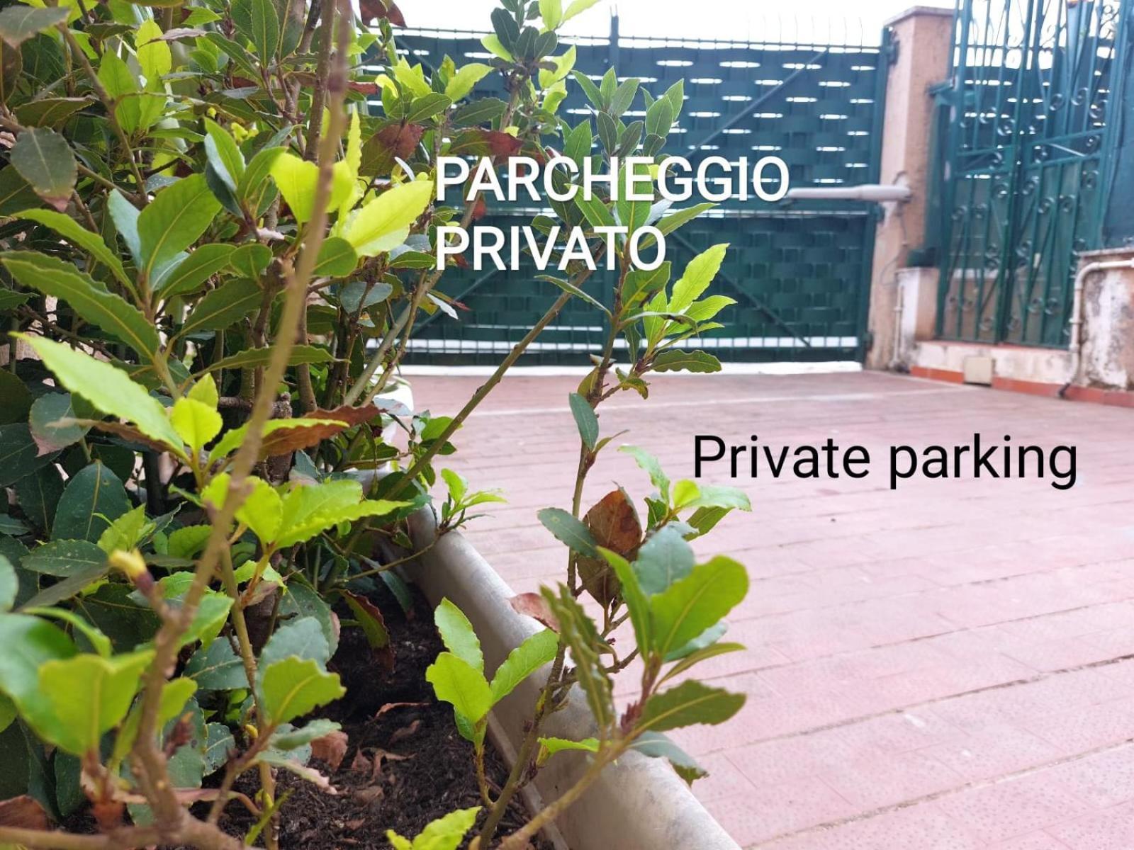 Art And Garden Διαμέρισμα Παλέρμο Εξωτερικό φωτογραφία